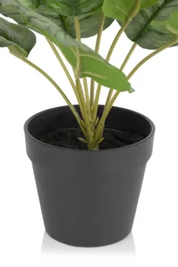 Productfoto voor Productfoto voor