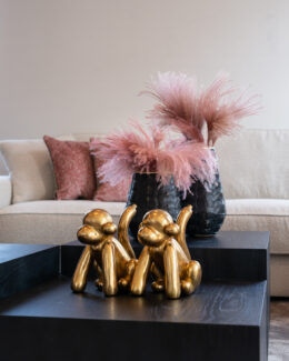 Productfoto voor 