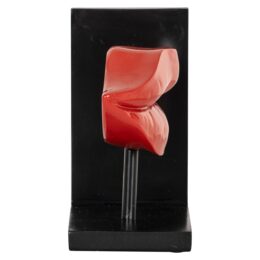Productfoto voor 
