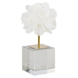 Productfoto voor 