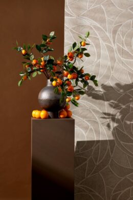 Productfoto voor 