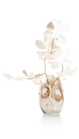 Productfoto voor 