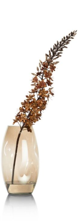 Productfoto voor 