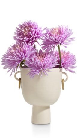 Productfoto voor 