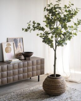 Productfoto voor 