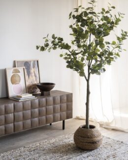 Productfoto voor 