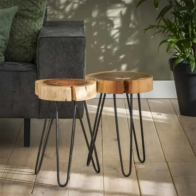 Bijzettafel Trunk Ø32 VPE2 - Afbeelding 4