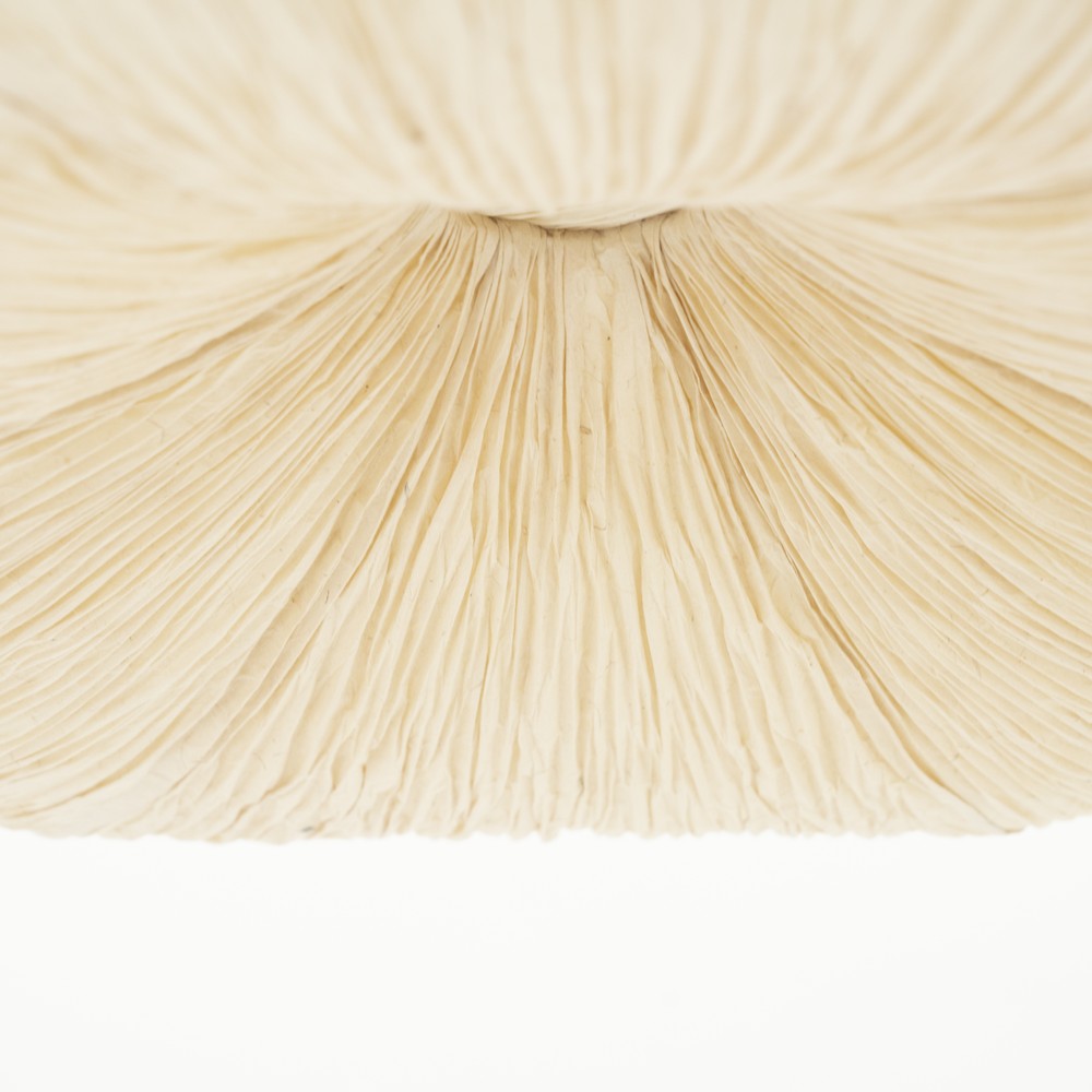 Pendant lamp Lokta 2 - Afbeelding 5