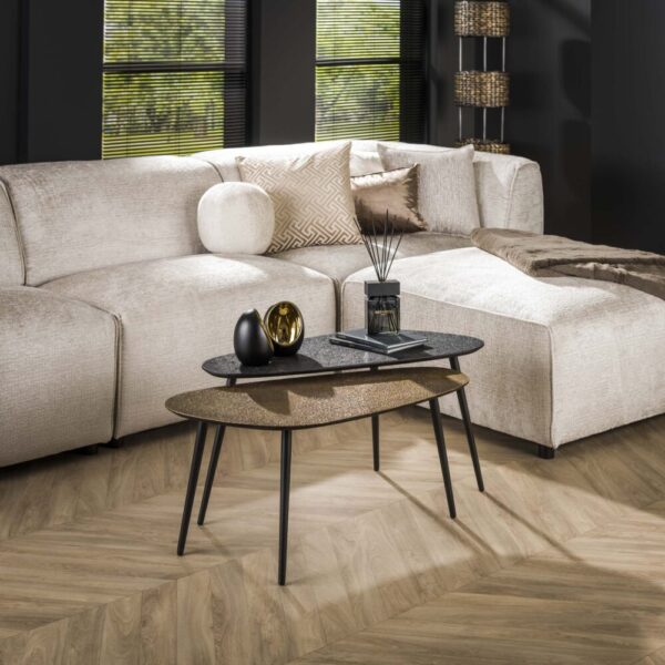 Salontafel Metallic niervormig set/2