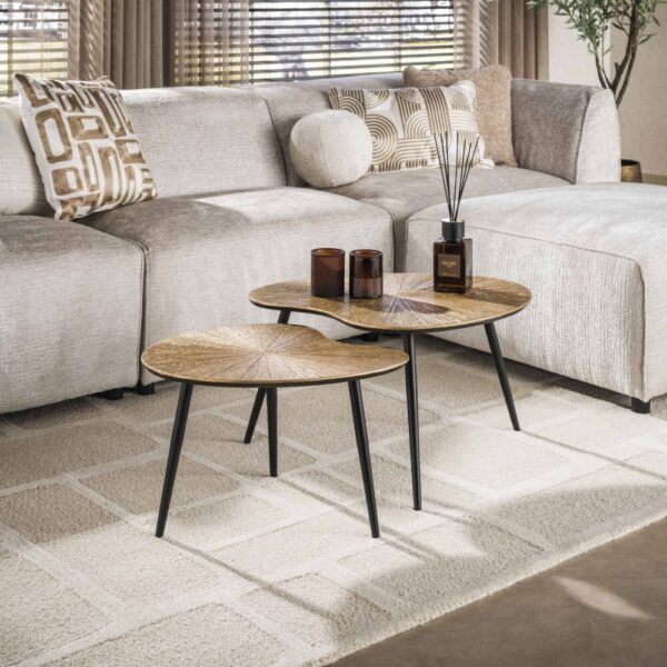 3242_30R_1 Salontafel Ray niervormig set/2