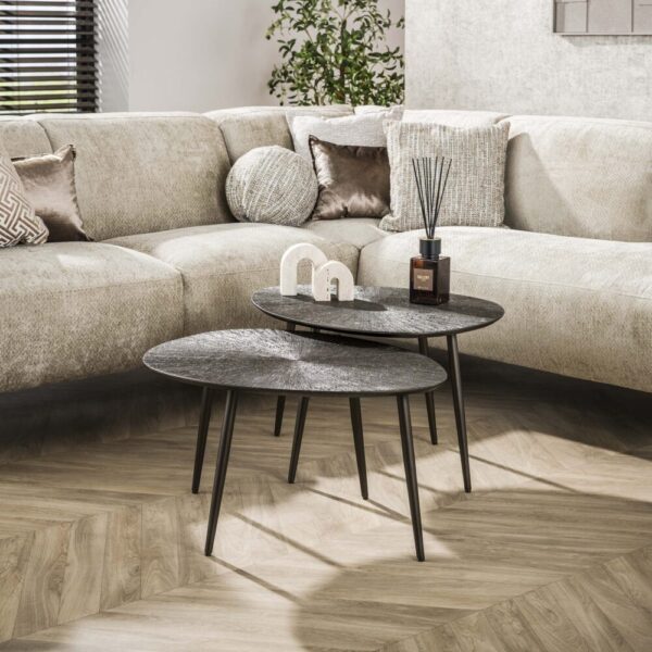 3245_40B_1 Salontafel Brown Ray leaf set/2