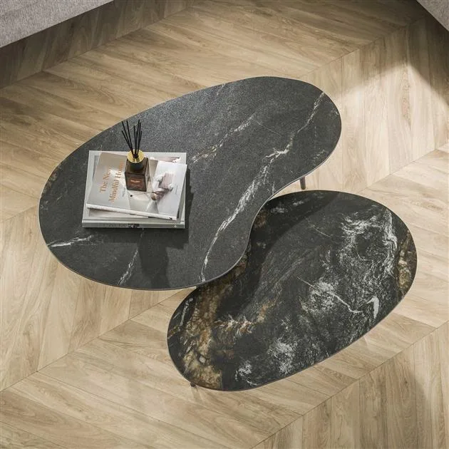 Salontafel Fossil niervormig set/2 - Afbeelding 3