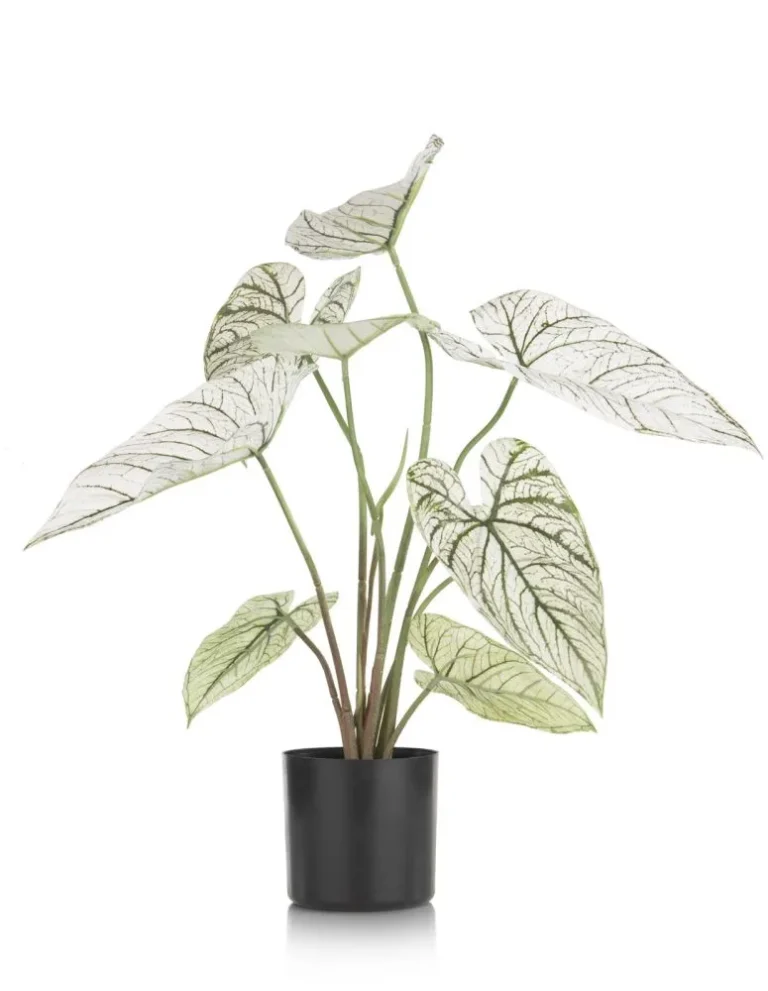 Caladium H60cm kunstplant - Groen