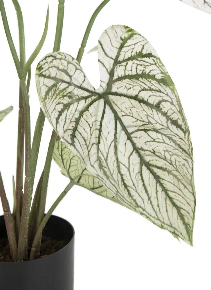 Caladium H60cm kunstplant - Groen - Afbeelding 3