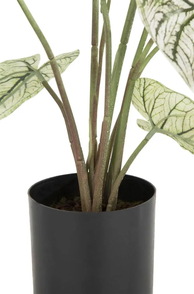 Caladium H60cm kunstplant - Groen - Afbeelding 4