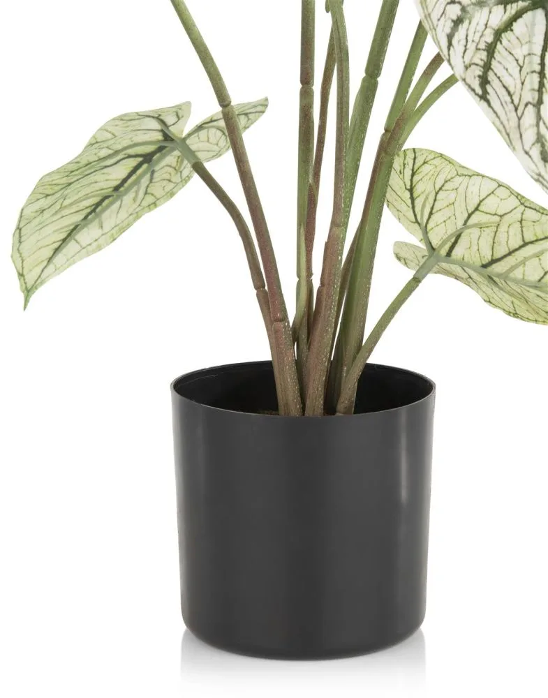 Caladium H60cm kunstplant - Groen - Afbeelding 5
