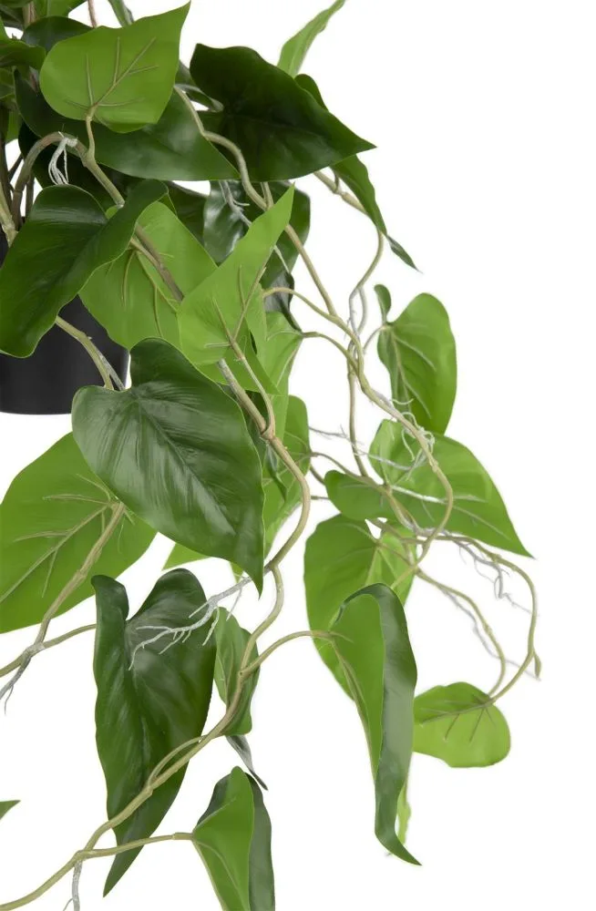 Philodendron Scandens H80cm kunstplant - Groen - Afbeelding 2
