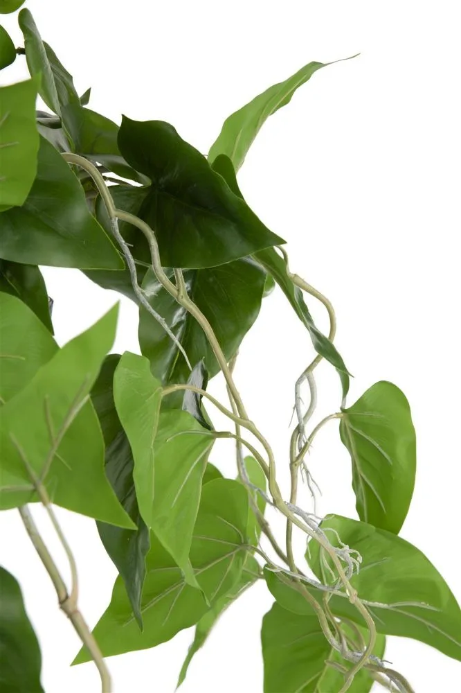 Philodendron Scandens H80cm kunstplant - Groen - Afbeelding 3