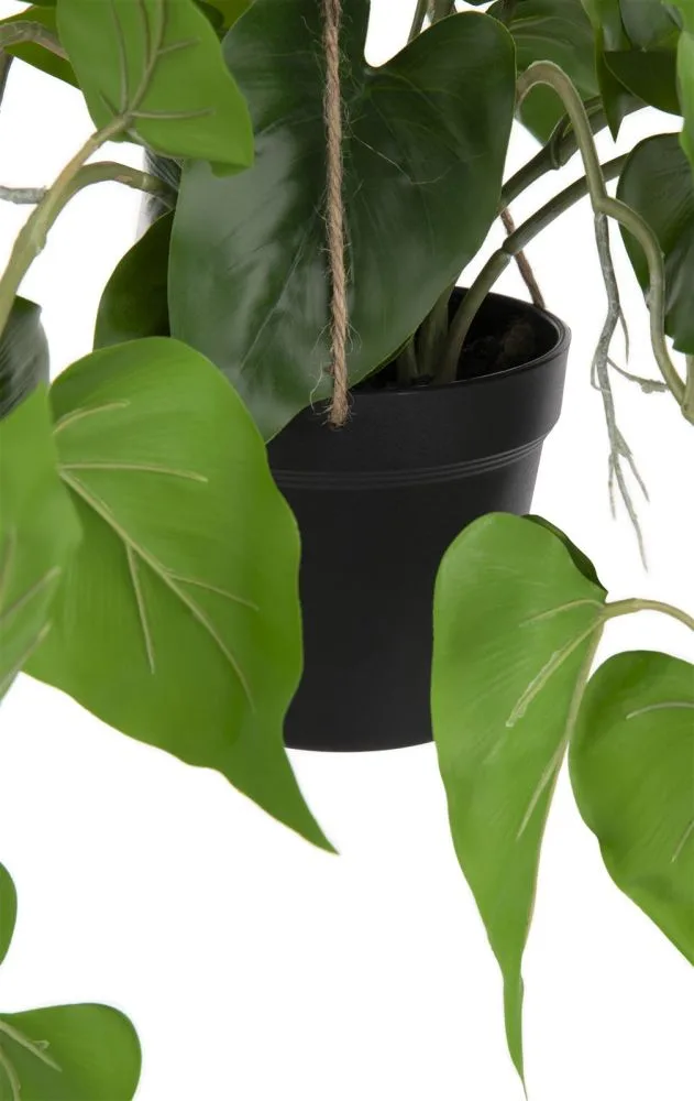 Philodendron Scandens H80cm kunstplant - Groen - Afbeelding 5