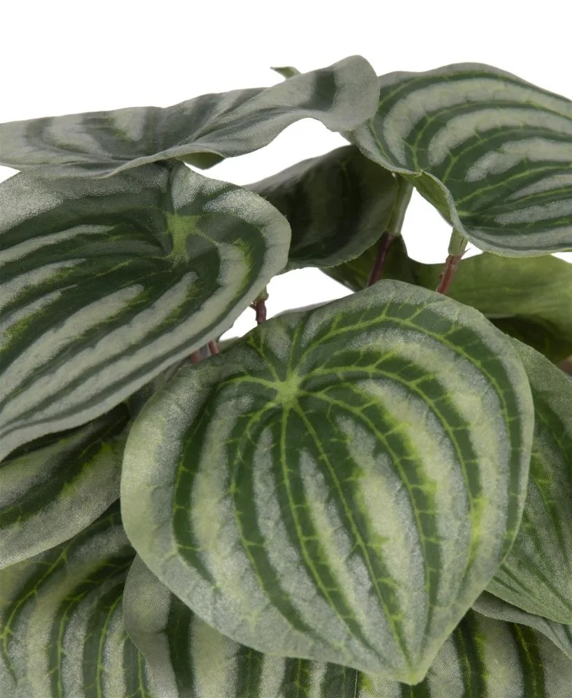 Peperomia Bush H25cm kunstbloem - Groen