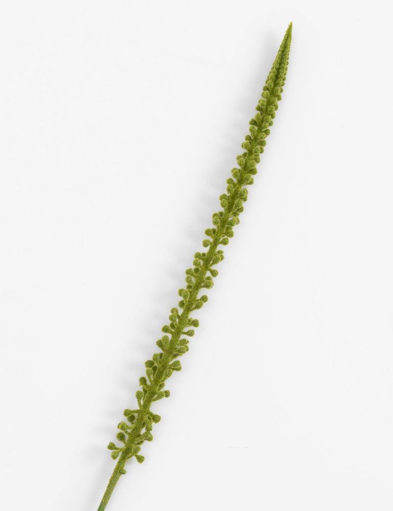 Donkey Tail kunstbloem H86cm - Groen - Afbeelding 2