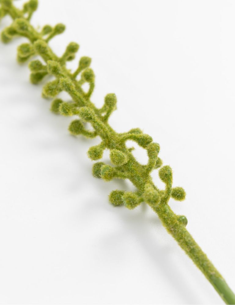 Donkey Tail kunstbloem H86cm - Groen - Afbeelding 3
