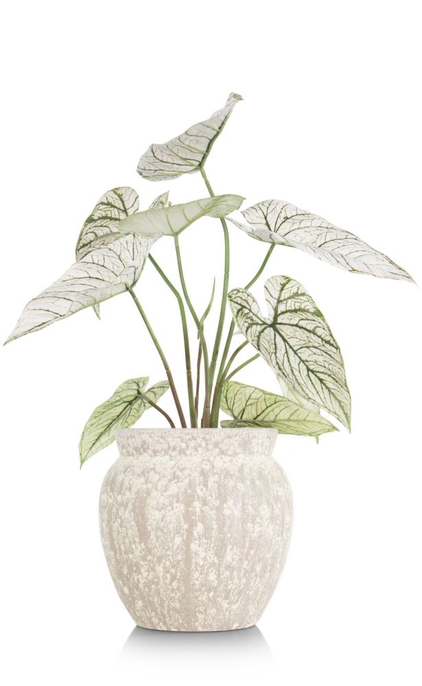 Caladium H60cm kunstplant - Groen - Afbeelding 2