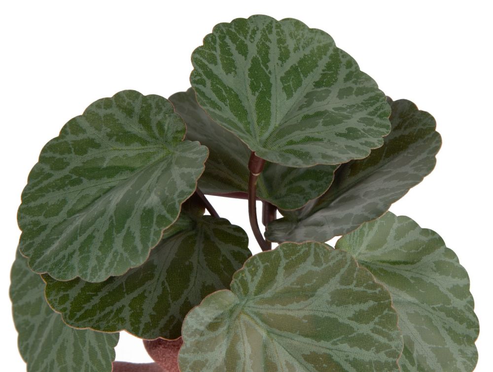 Saxifrage Mini Bush H13cm kunstbloem - Groen - Afbeelding 3