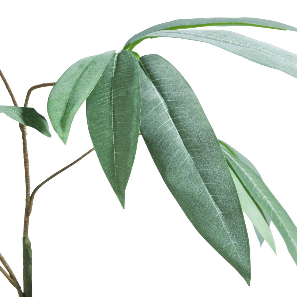 Eucalyptus branch H95cm - Groen - Afbeelding 3