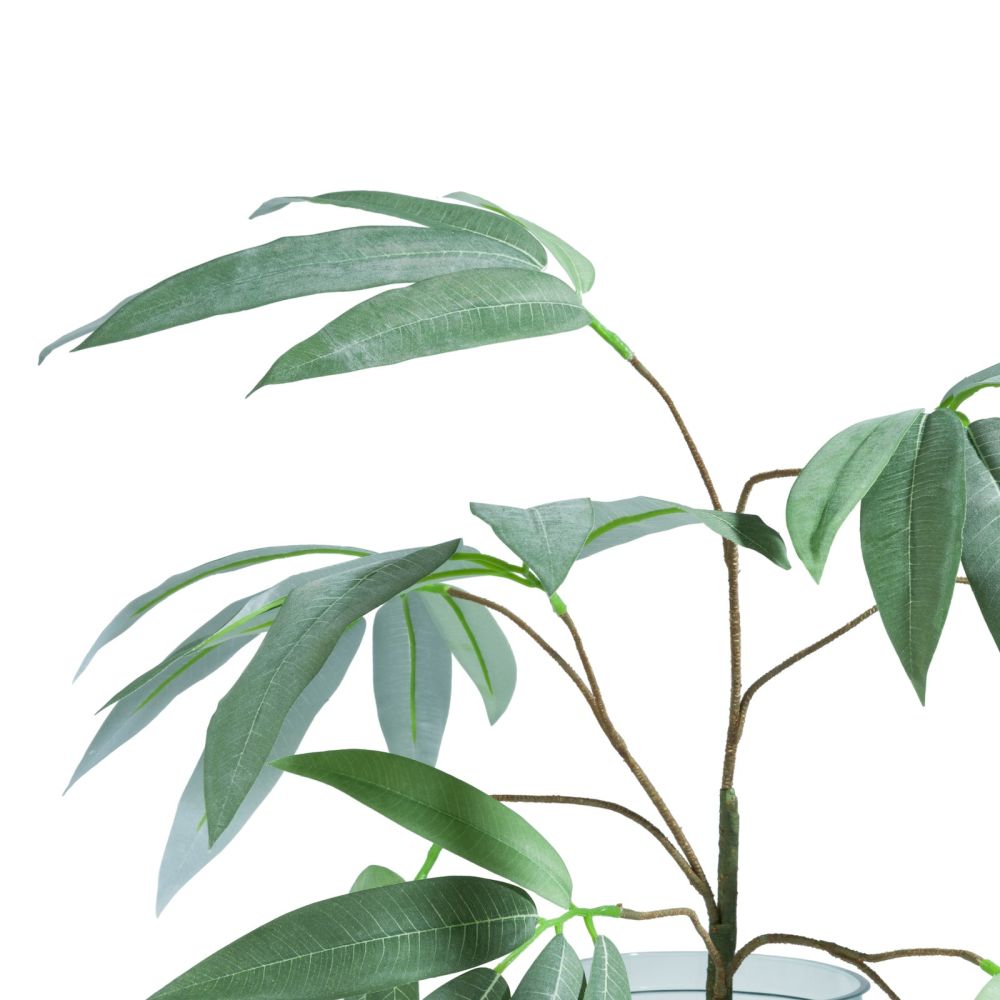 Eucalyptus branch H95cm - Groen - Afbeelding 4