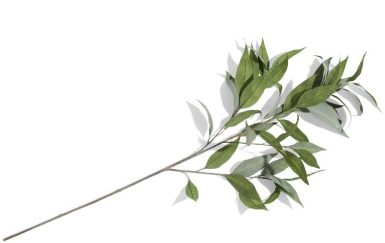image-2288 Eucalypthus Spray H93cm - Groen