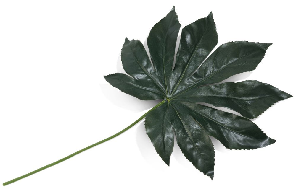 Fatsia Leaf kunstbloem H55cm - Groen