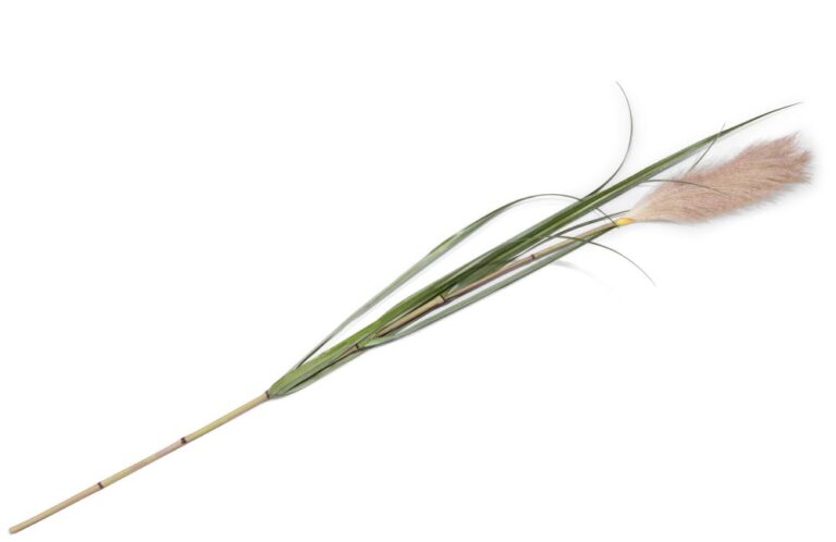 Pampus Grass kunstbloem H120cm - Groen