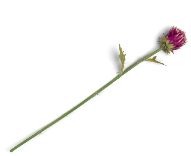 image-2789-jpg Artichoke Stem H80cm - Roze