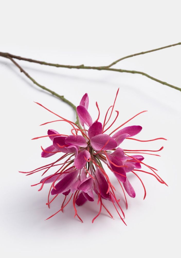 Cleome spray kunstbloem - Roze - Afbeelding 2