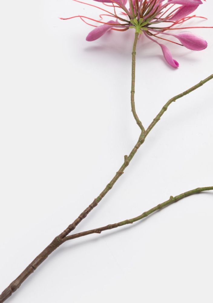 Cleome spray kunstbloem - Roze - Afbeelding 3