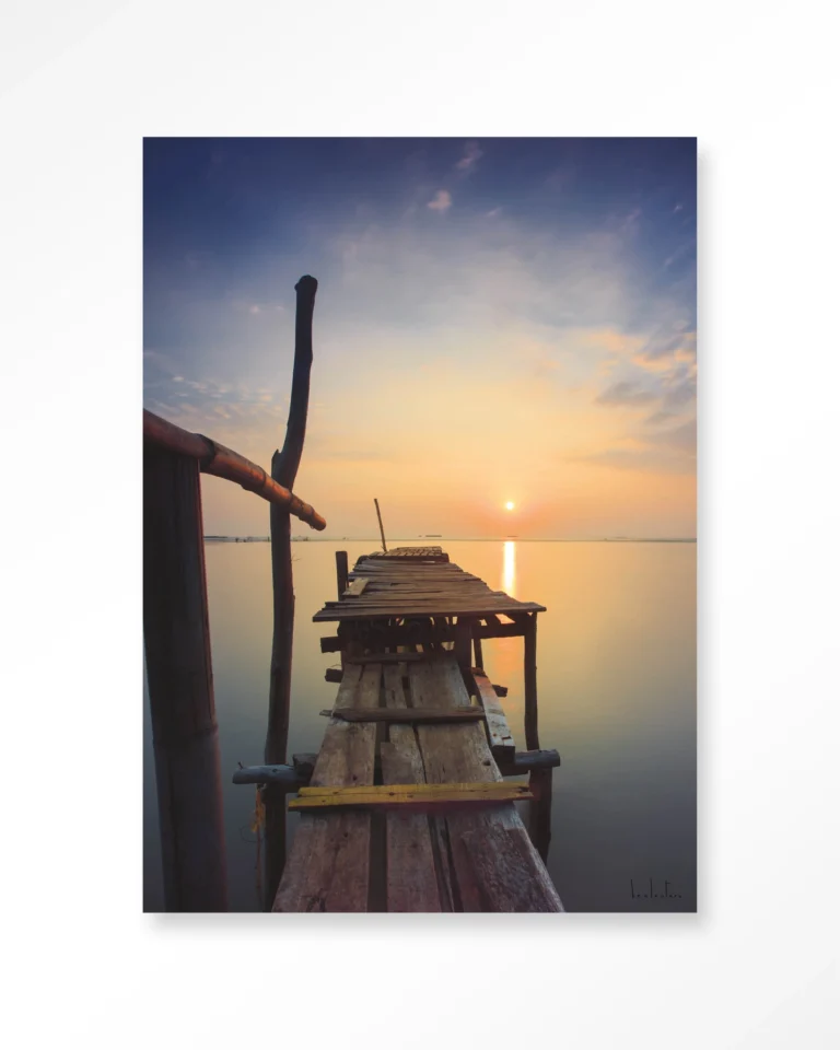 23017-sun-shy-cirebon Sun shy cirebon