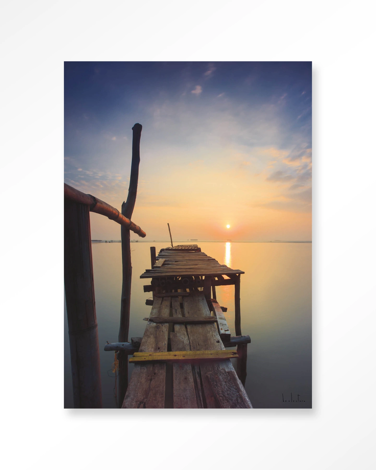 Sun shy cirebon