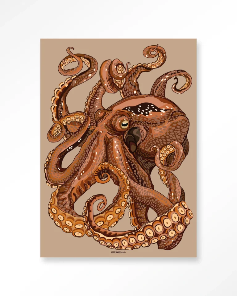 24006-pulpo Pulpo