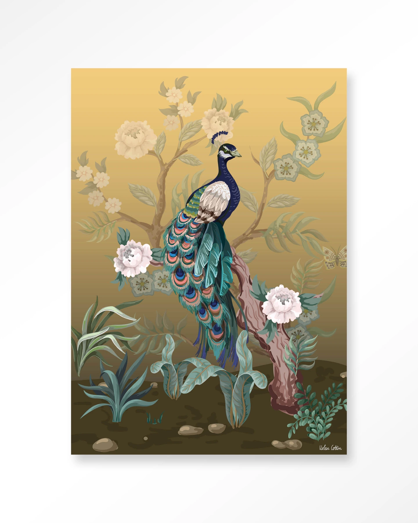 Peacock
