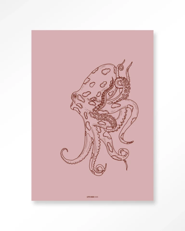 Polypus