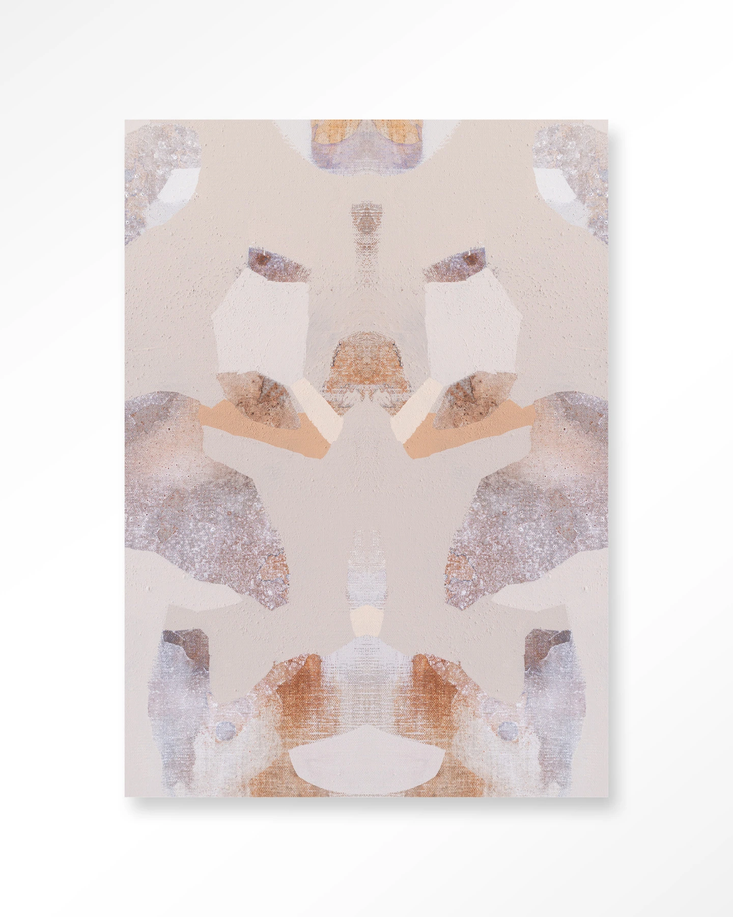 Sand Fox