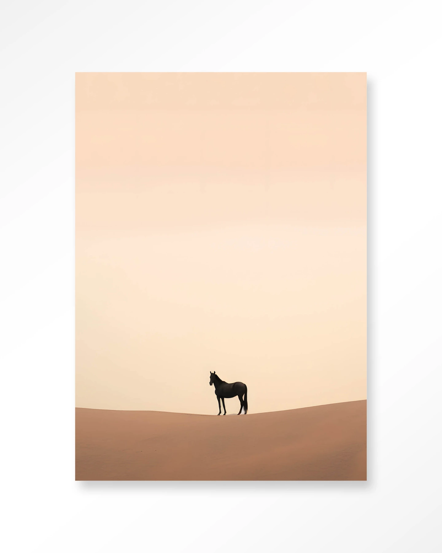Desert Horse