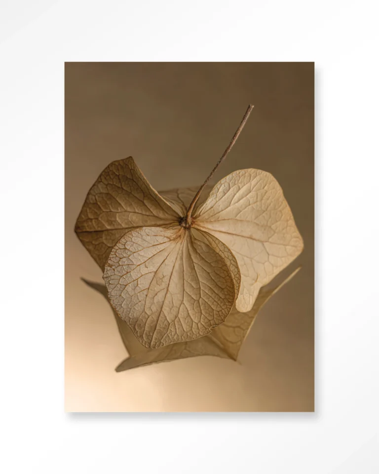 25258-leaf-me-sheltered Leaf Me: Sheltered