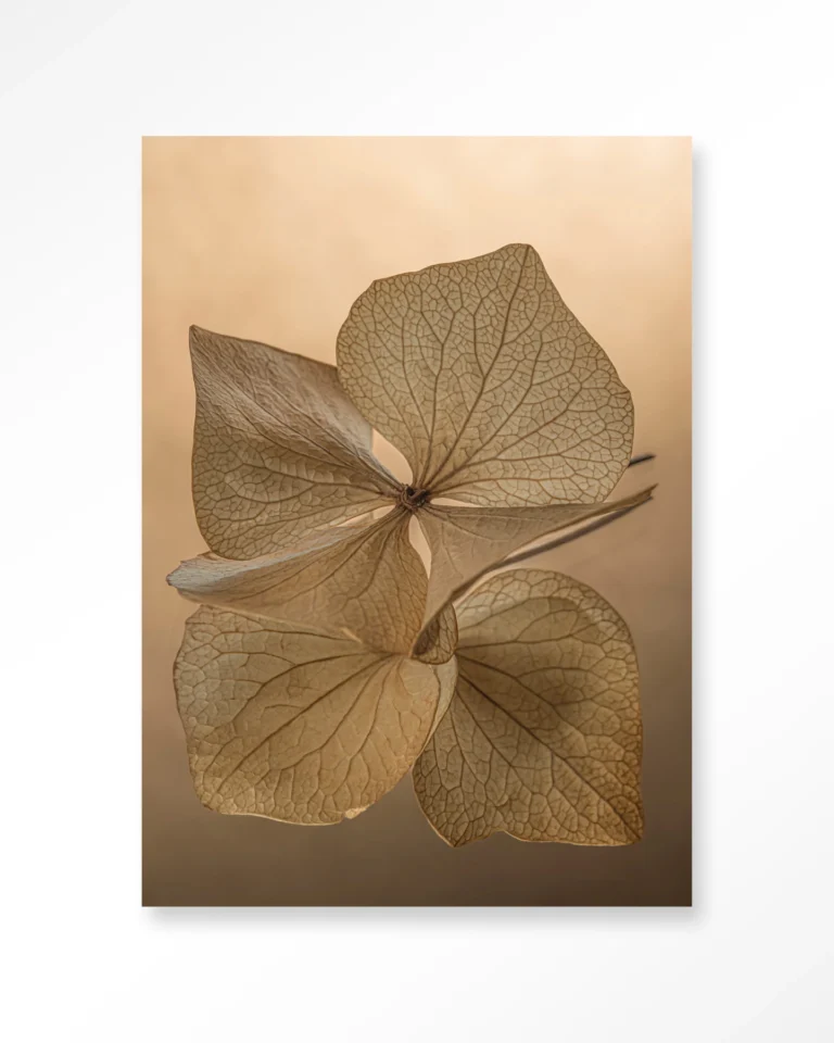 25259-leaf-me-unfolded Leaf Me: Unfolded