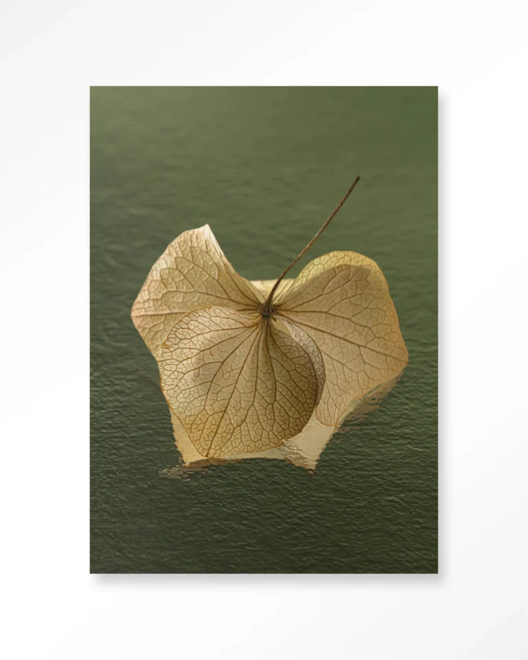 Leaf Me: In The Green