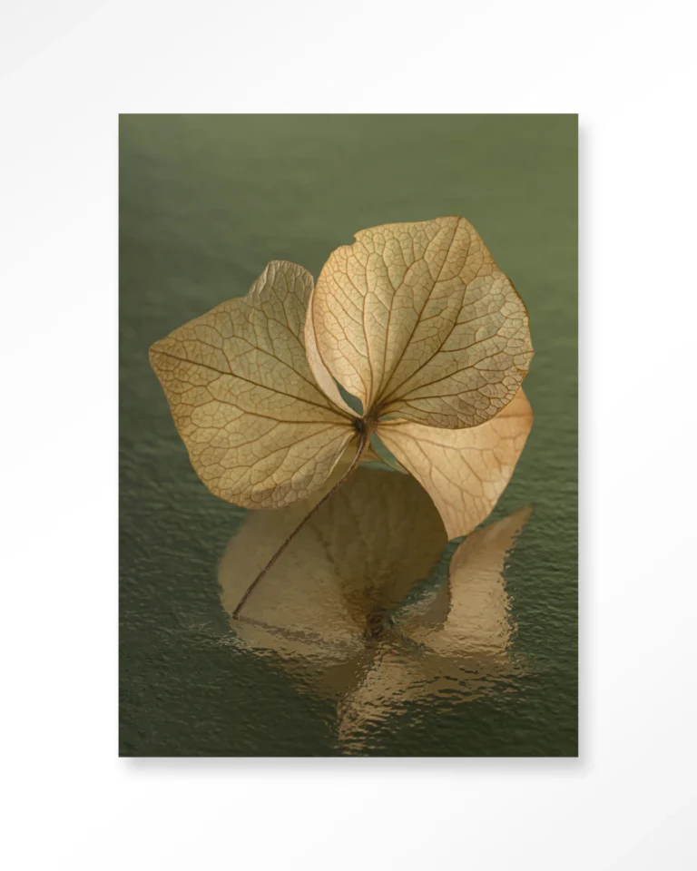 25261-leaf-me-in-reflection Leaf Me: In Reflection