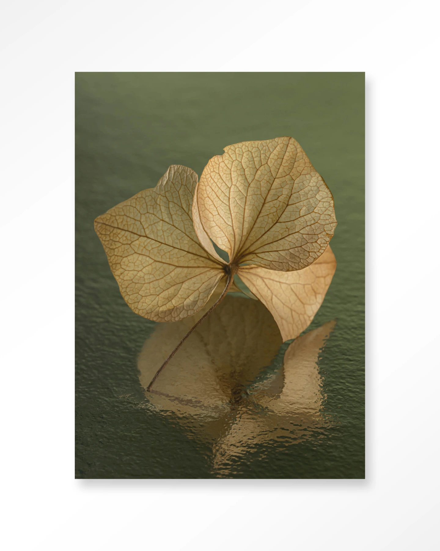 Leaf Me: In Reflection