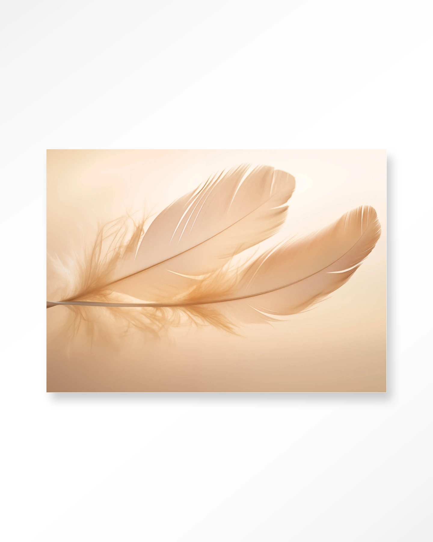 Light Feather